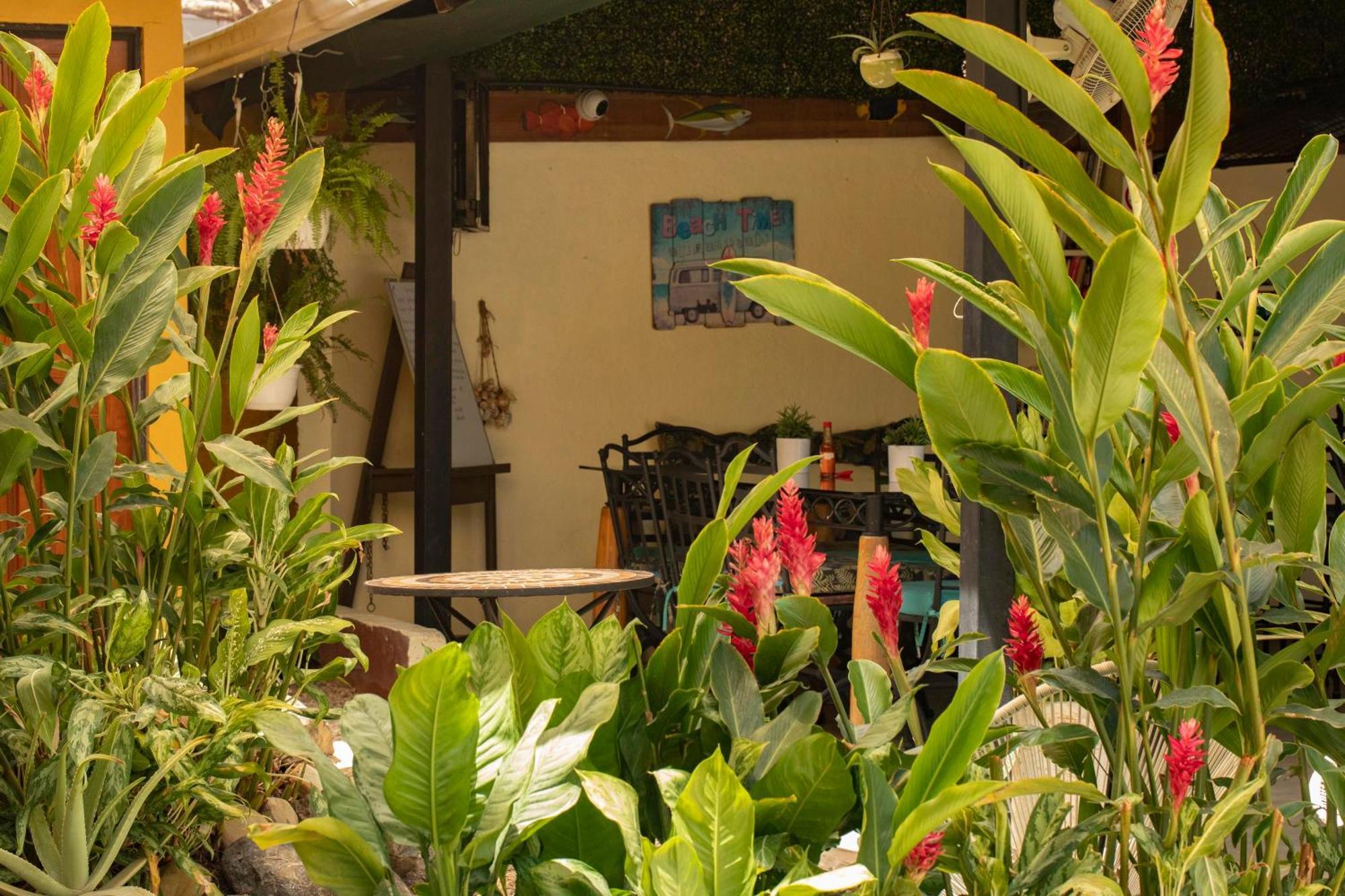 Hotel Laura'S House Coco Bagian luar foto